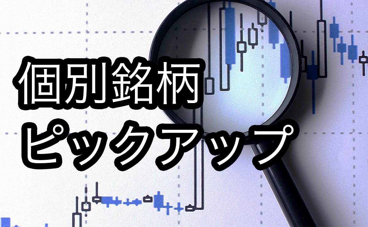 6239 ナガオカのハイシス技術が魅力！買い目線一択だが懸念は流動性のなさ｜2019年5月24日ピックアップ